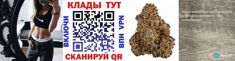 Как найти наркотики Тында Каннабис  Кокаин  СК  Меф  mega   ГАШ 