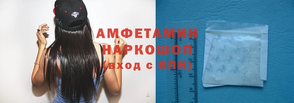 ГАЛЛЮЦИНОГЕННЫЕ ГРИБЫ Аркадак