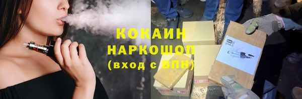 ГАЛЛЮЦИНОГЕННЫЕ ГРИБЫ Аркадак