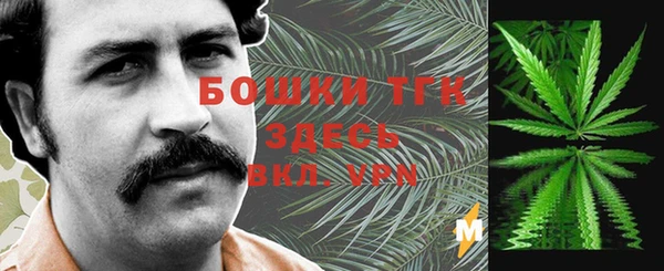 герыч Арсеньев